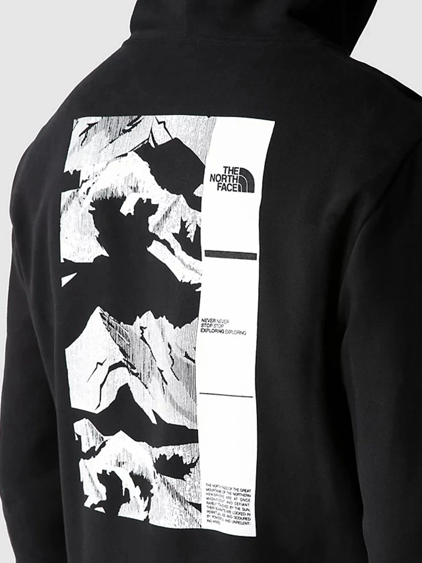 Худі та світшоти The North Face COORDINATES модель NF0A7X2GJK31 Фото