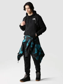 Худі та світшоти The North Face COORDINATES модель NF0A7X2GJK31 Фото