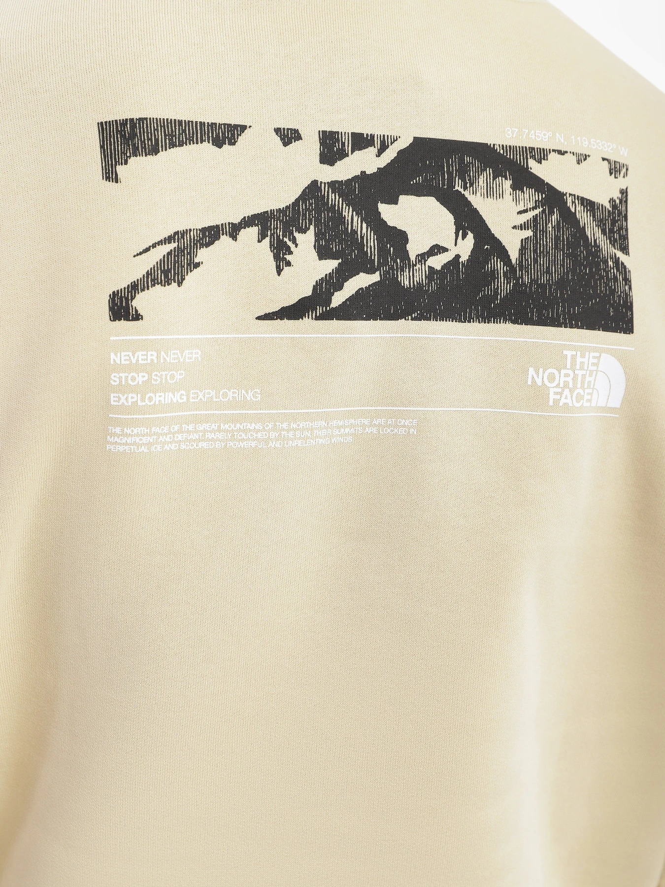 Худі та світшоти The North Face COORDINATES модель NF0A7X2G3X41 Худі та світшоти The North Face COORDINATES модель NF0A7X2G3X41 Фото