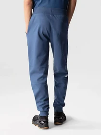 Брюки The North Face Face Fine II модель NF0A3BPOHDC1 Фото