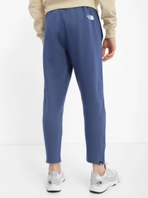 Брюки The North Face Standard модель NF0A4M7LHDC1 Фото