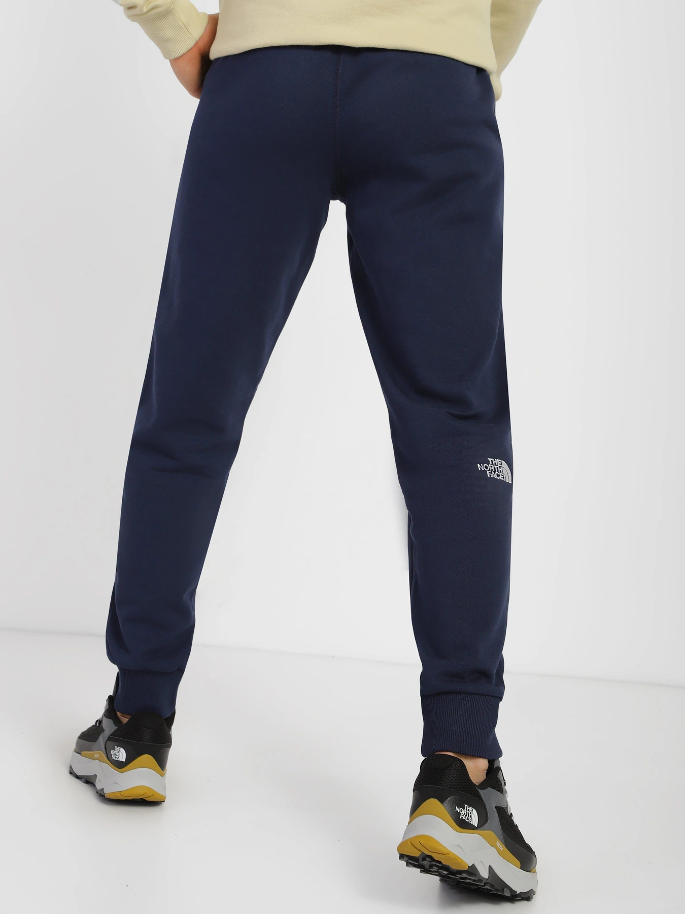 Брюки The North Face NSE модель NF0A4SVQ8K21 Брюки The North Face NSE модель NF0A4SVQ8K21 Фото