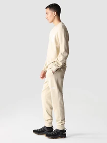 Брюки The North Face Nse Outdoor модель NF0A4SVQ3X41 Фото