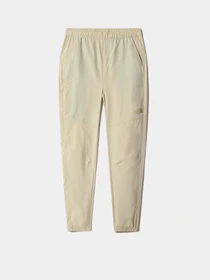 Брюки The North Face Woven модель NF0A5IG43X41 Фото