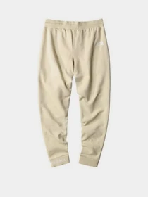 Брюки The North Face модель NF0A5ILI3X41 Фото