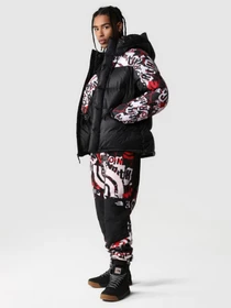 Брюки The North Face Printed Denali модель NF0A7WWC99A1 Фото
