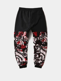 Брюки The North Face Printed Denali модель NF0A7WWC99A1 Фото