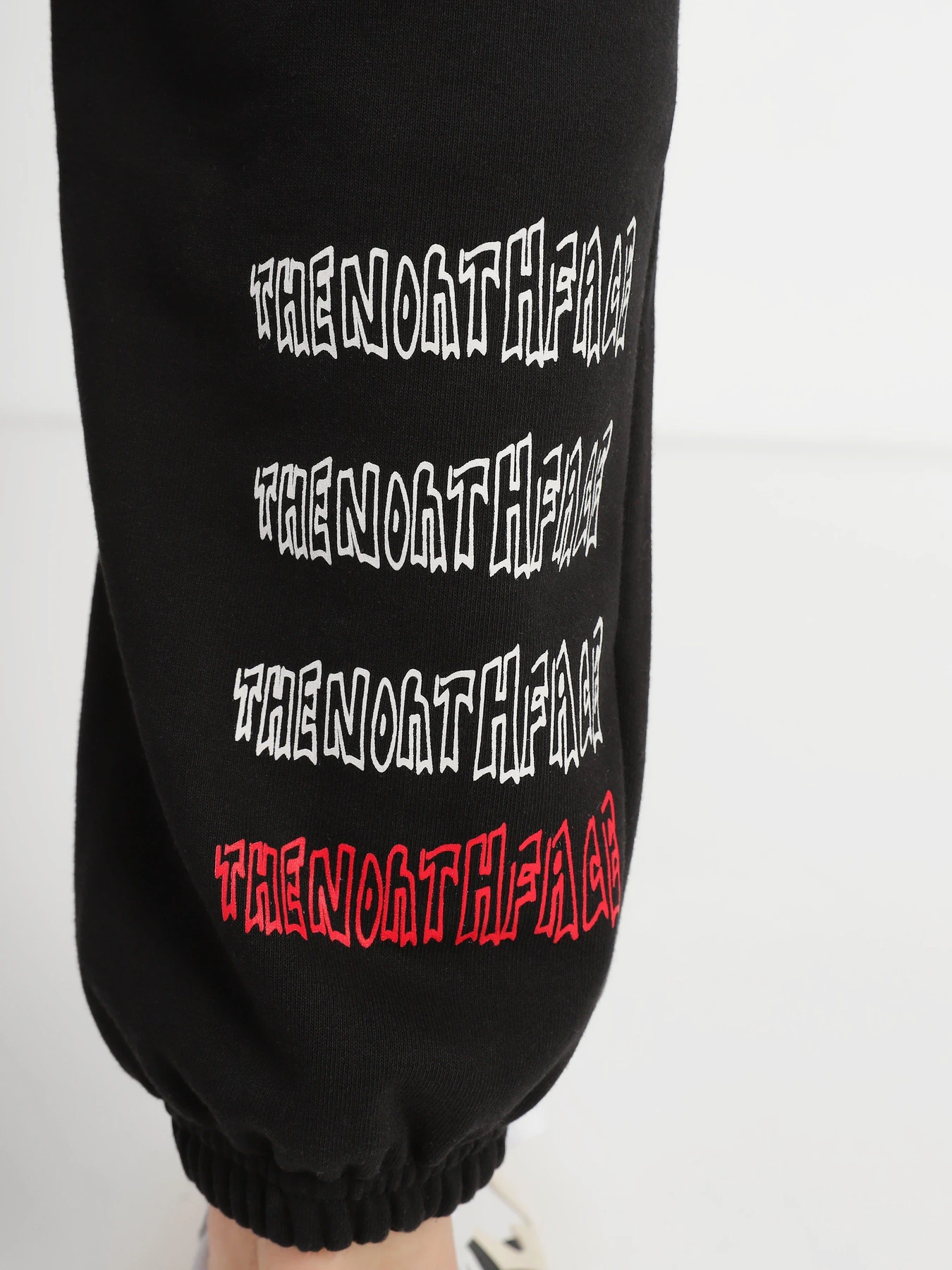 Брюки The North Face Printed Heavyweight Fleece модель NF0A7WXEJK31 Фото