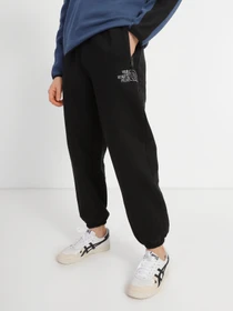 Брюки The North Face Printed Heavyweight Fleece модель NF0A7WXEJK31 Фото