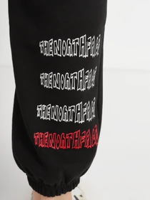 Брюки The North Face Printed Heavyweight Fleece модель NF0A7WXEJK31 Фото