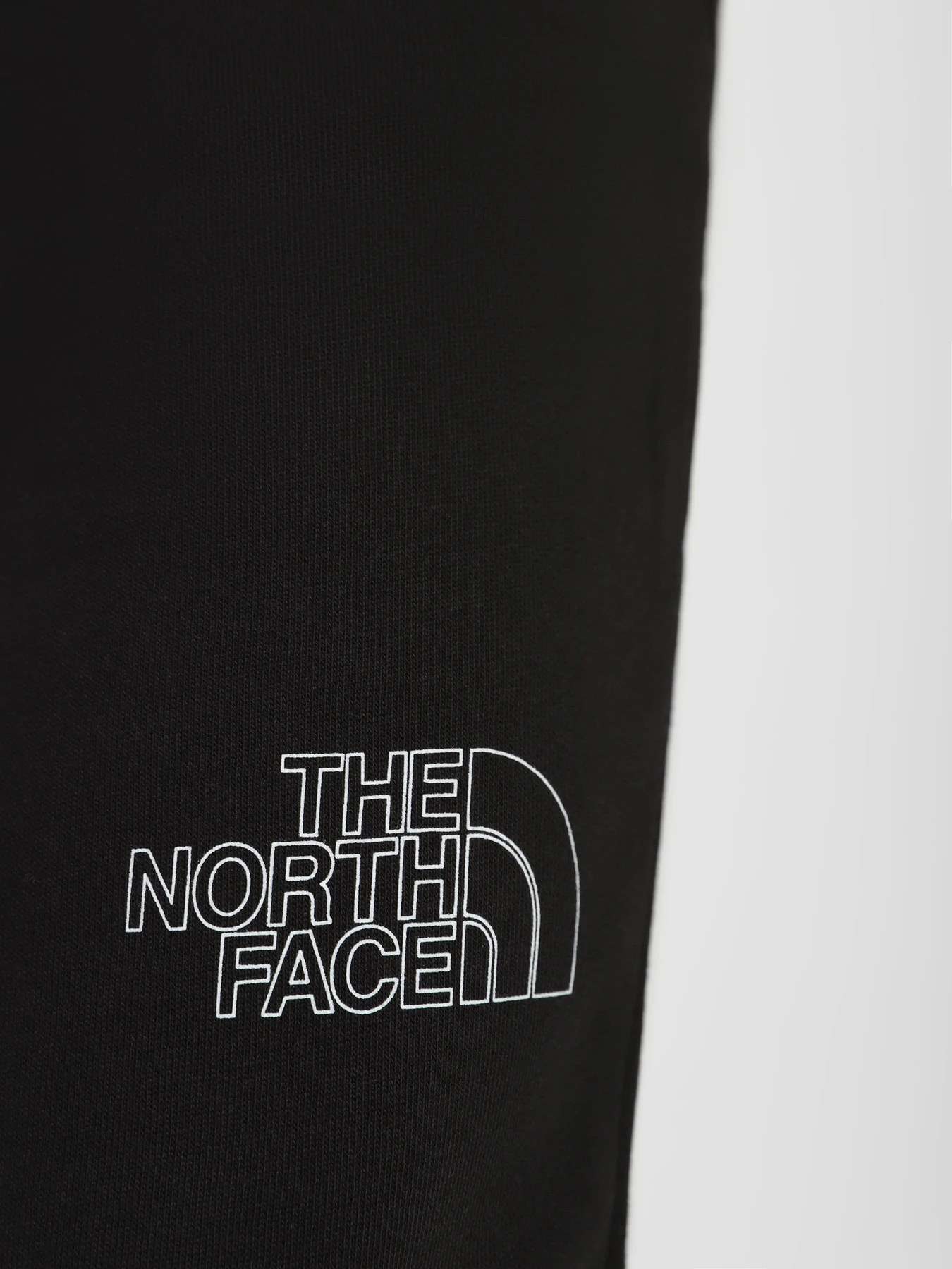 Брюки The North Face Drew Peak модель NF0A7X1HJK31 Брюки The North Face Drew Peak модель NF0A7X1HJK31 Фото