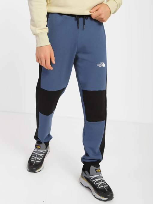 Брюки The North Face Icon модель NF0A7X1ZHDC1 Фото