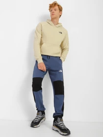 Брюки The North Face Icon модель NF0A7X1ZHDC1 Фото