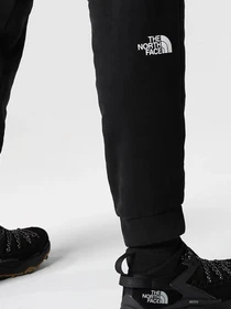 Брюки The North Face Coordinates модель NF0A7X2JJK31 Фото