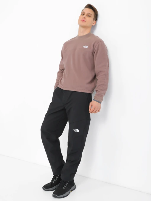 Штани The North Face DIABLO REGULAR TAPERED модель NF0A7X6DJK31 Фото