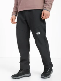 Брюки The North Face DIABLO REGULAR TAPERED модель NF0A7X6DJK31 Фото