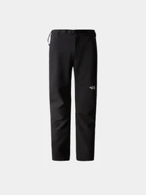 Брюки The North Face DIABLO REGULAR TAPERED модель NF0A7X6DJK31 Фото