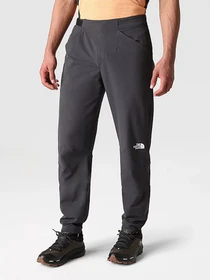 Брюки The North Face Athletic Winter Tapered модель NF0A7X6F0C51 Фото