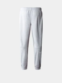 Брюки The North Face REAXION POLAR модель NF0A7Z9PDYX1 Фото