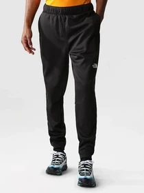 Брюки The North Face Reaxion Fleece модель NF0A7Z9PJK31 Фото