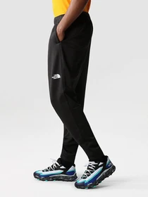 Брюки The North Face Reaxion Fleece модель NF0A7Z9PJK31 Фото