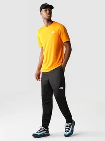 Брюки The North Face Reaxion Fleece модель NF0A7Z9PJK31 Фото
