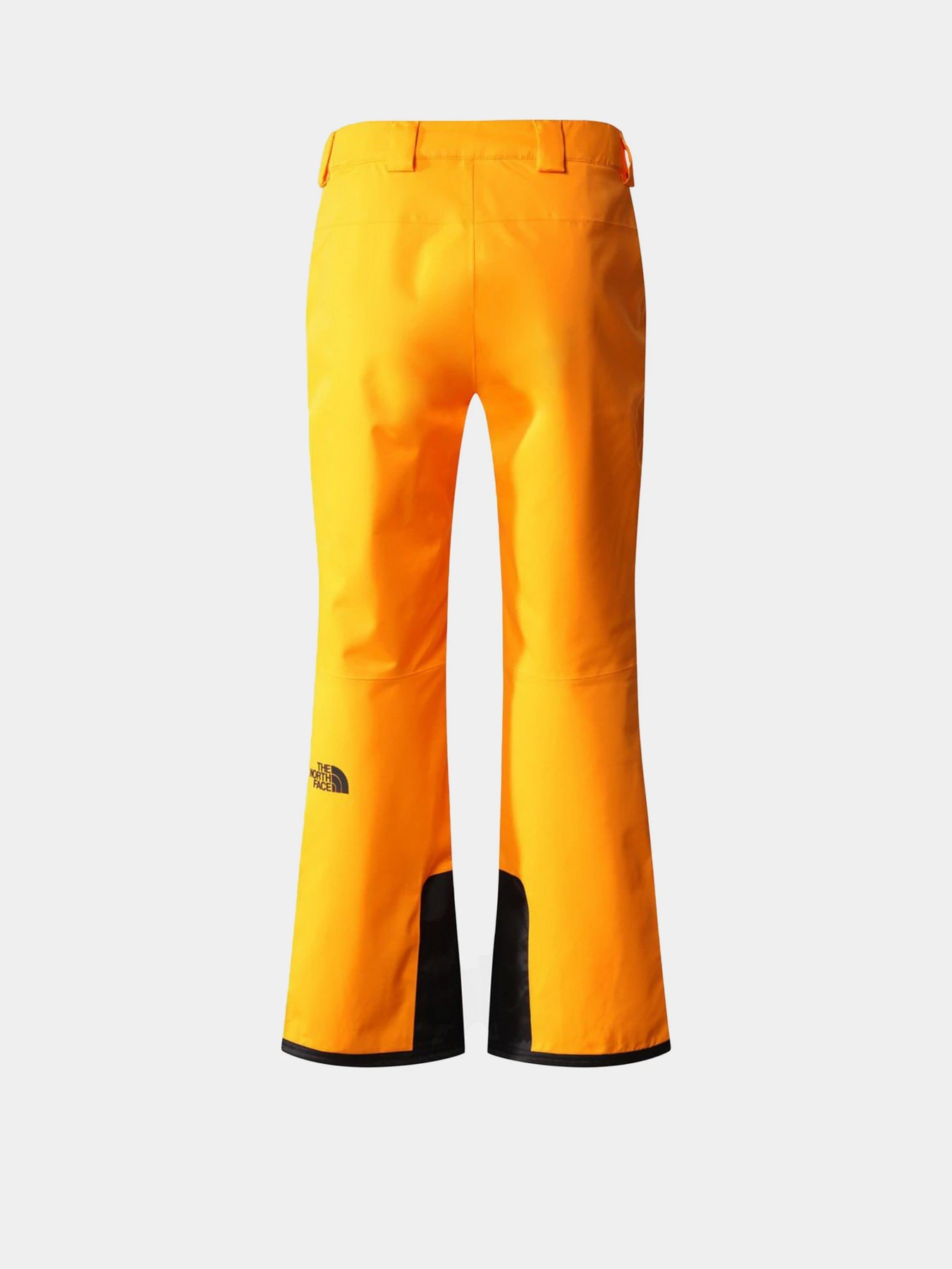Брюки The North Face Chakal Pant модель NF0A5IYV78M1 Фото