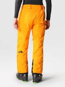 Брюки The North Face Chakal Pant модель NF0A5IYV78M1 Фото
