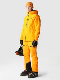 Брюки The North Face Chakal Pant модель NF0A5IYV78M1 Фото