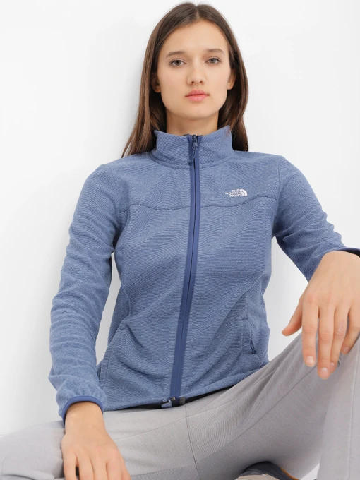 Худи и свитшоты The North Face Homesafe Full Zip модель NF0A55HO8401 Фото