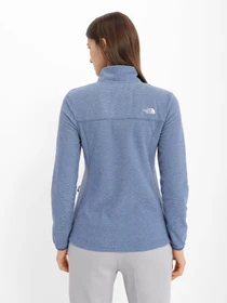 Худи и свитшоты The North Face Homesafe Full Zip модель NF0A55HO8401 Фото