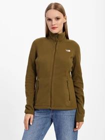 Худи и свитшоты The North Face Resolve Full-zip модель NF0A4SVW37U1 Фото