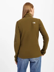 Худи и свитшоты The North Face Resolve Full-zip модель NF0A4SVW37U1 Фото