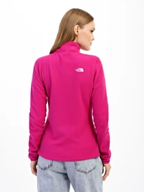 Худи и свитшоты The North Face Resolve 1/4 Zip модель NF0A4SVX1461 Фото