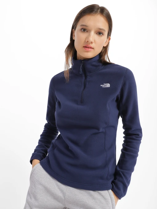 Худи и свитшоты The North Face Resolve 1/4 Zip модель NF0A4SVX8K21 Фото