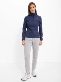 Худи и свитшоты The North Face Resolve 1/4 Zip модель NF0A4SVX8K21 Фото