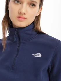 Худи и свитшоты The North Face Resolve 1/4 Zip модель NF0A4SVX8K21 Фото