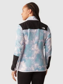 Худи и свитшоты The North Face DIABLO Midlayer модель NF0A5IHU94M1 Фото