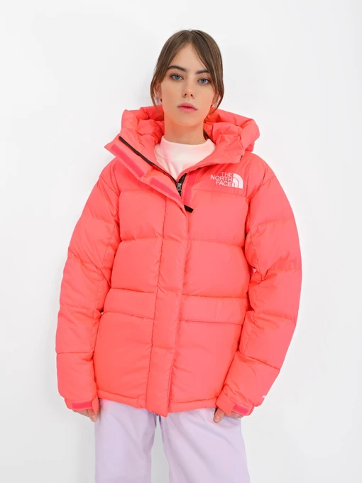 Куртки и дубленки The North Face Hmlyn модель NF0A4R2W3971 Фото