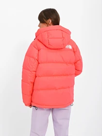 Куртки та дублянки The North Face Hmlyn модель NF0A4R2W3971 Фото