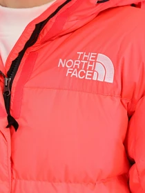 Куртки та дублянки The North Face Hmlyn модель NF0A4R2W3971 Фото