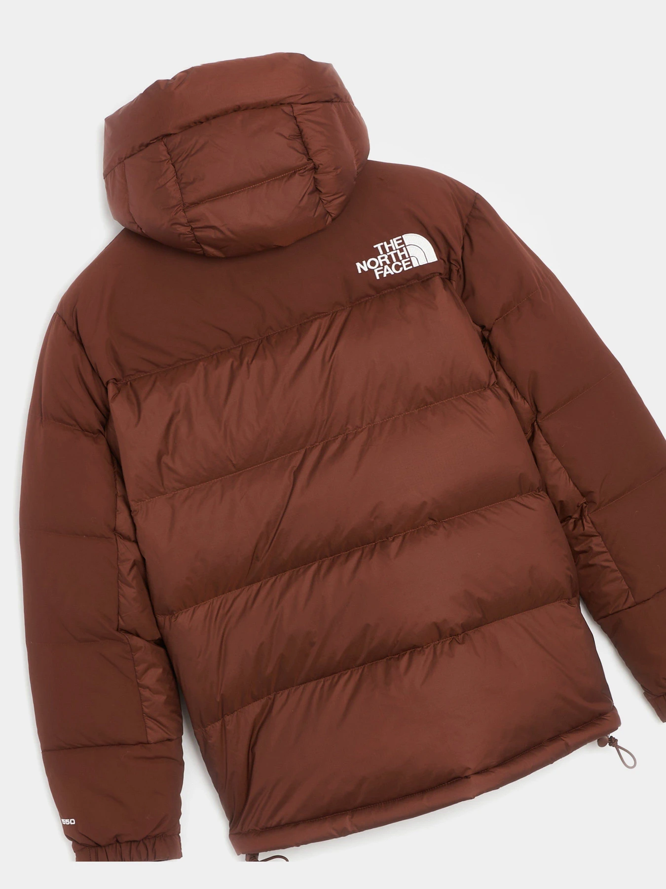 Куртки и дубленки The North Face Hmlyn модель NF0A4R2W6S21 Фото