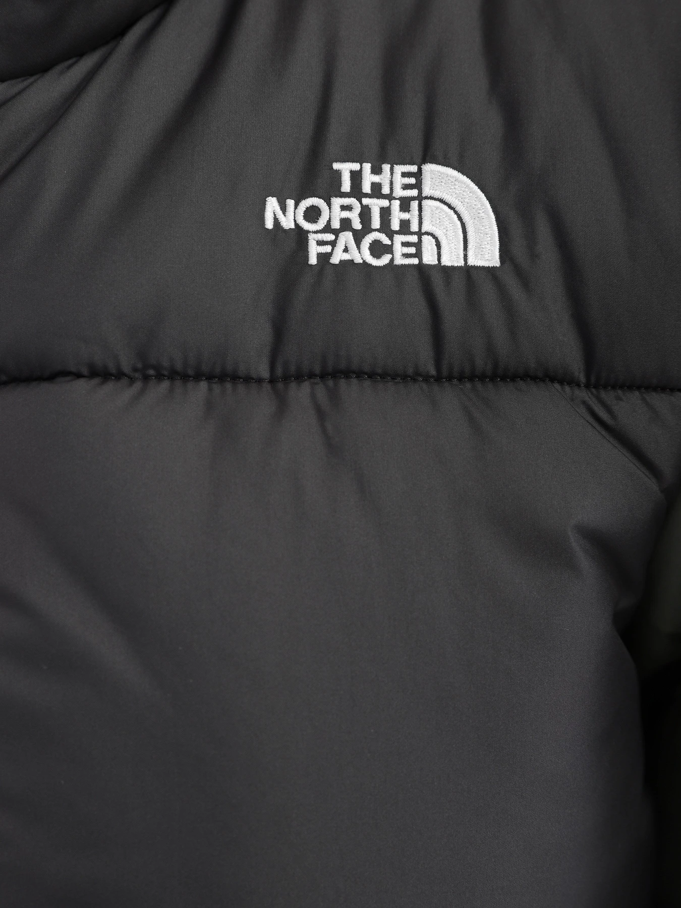 Куртки и дубленки The North Face Saikuru модель NF0A4WAPNYC1 Куртки и дубленки The North Face Saikuru модель NF0A4WAPNYC1 Фото