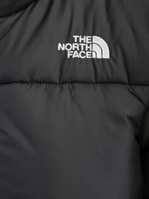 Куртки и дубленки The North Face Saikuru модель NF0A4WAPNYC1 Фото