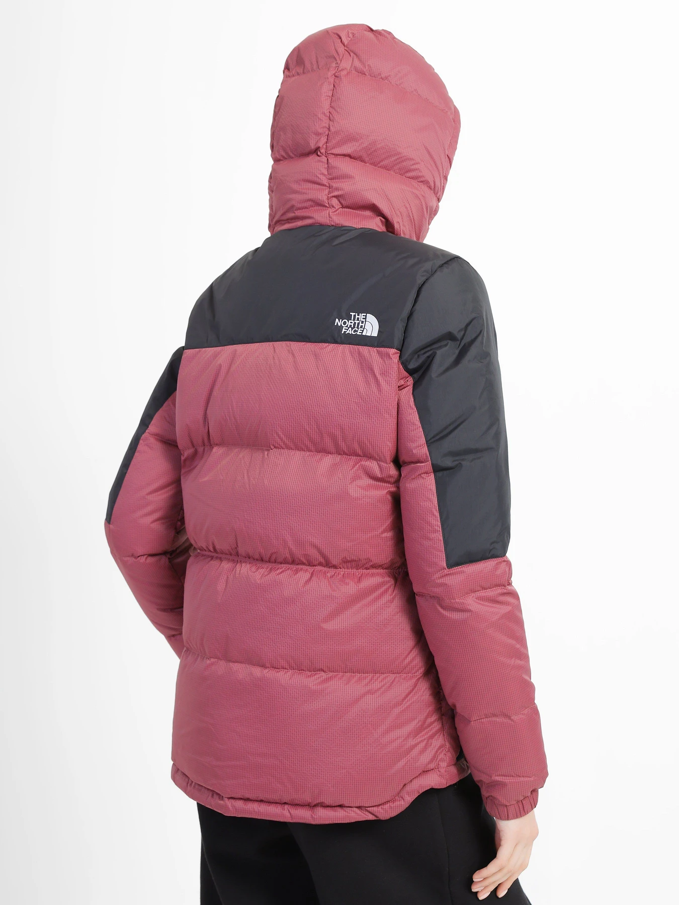 Куртки и дубленки The North Face Diablo модель NF0A55H486H1 Куртки и дубленки The North Face Diablo модель NF0A55H486H1 Фото