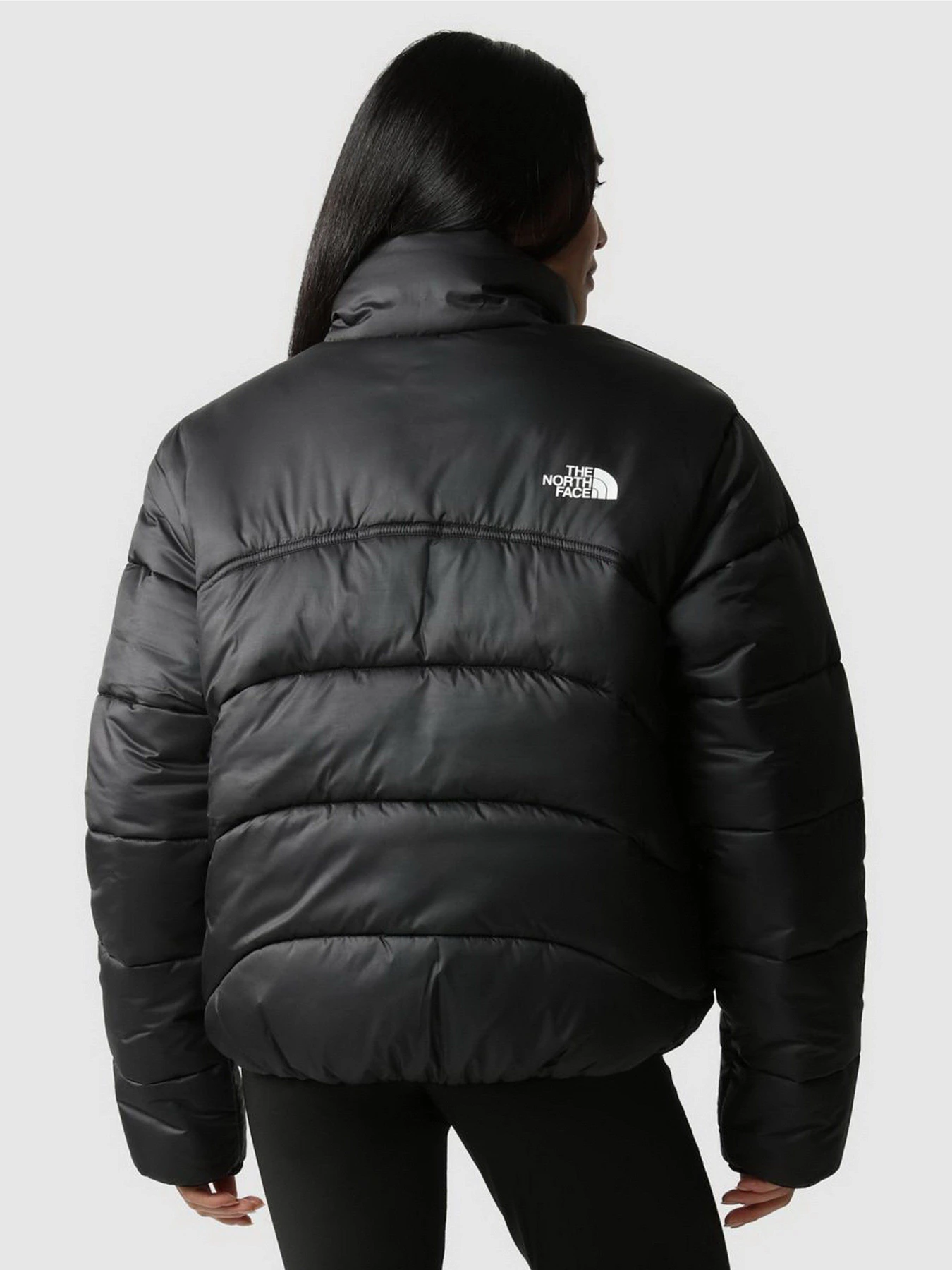Куртки и дубленки The North Face Saikuru модель NF0A7URFJK31 Фото