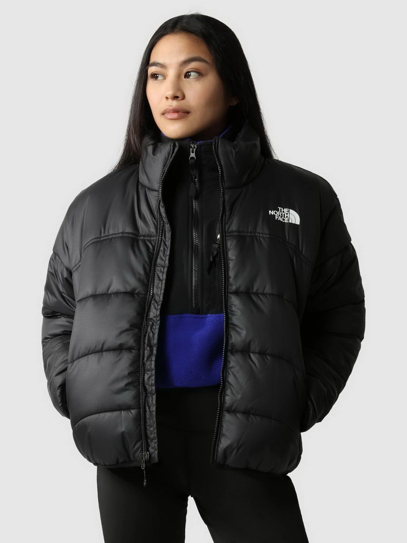 Куртки и дубленки The North Face Saikuru модель NF0A7URFJK31 Фото