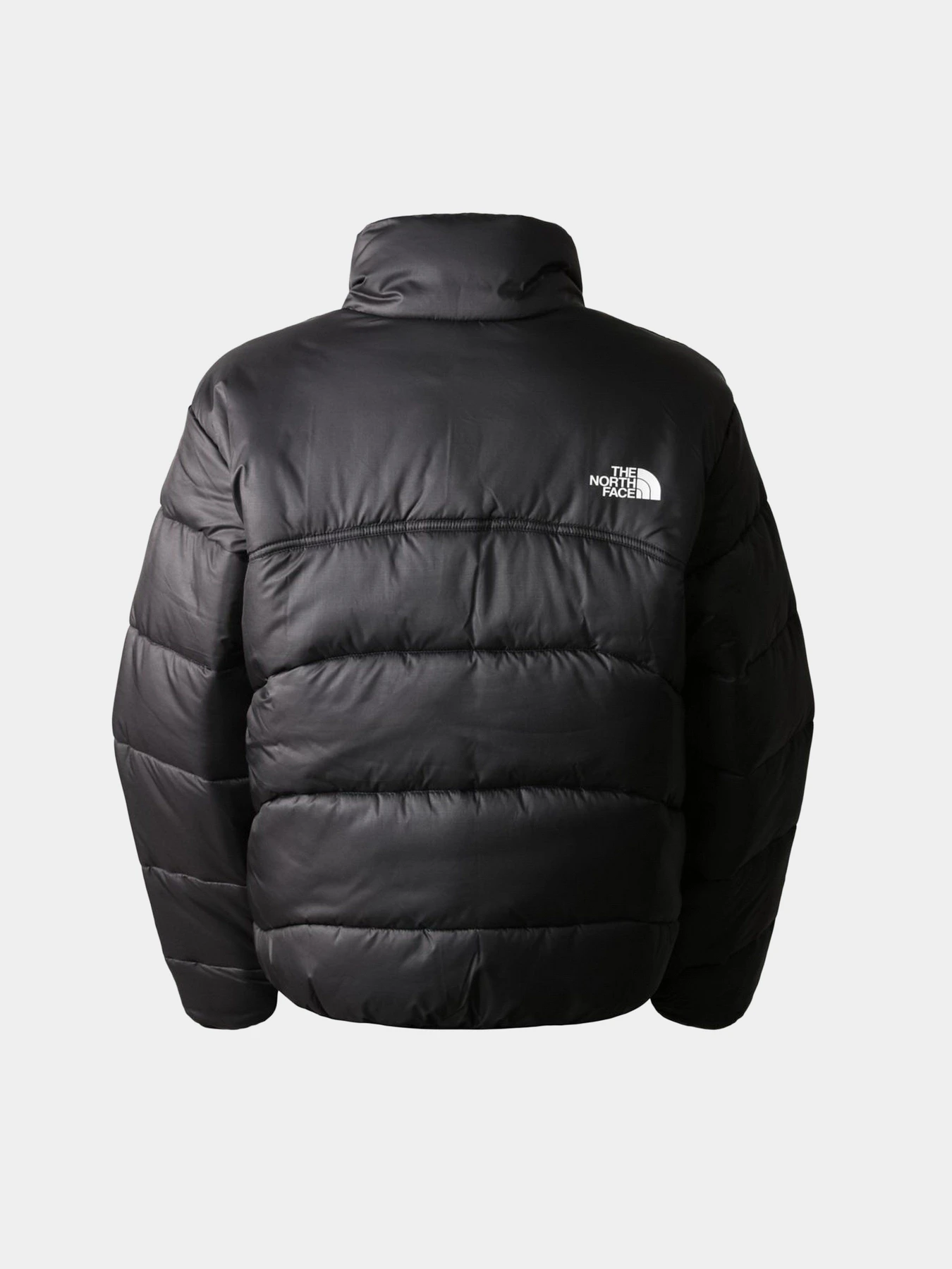 Куртки и дубленки The North Face Saikuru модель NF0A7URFJK31 Фото