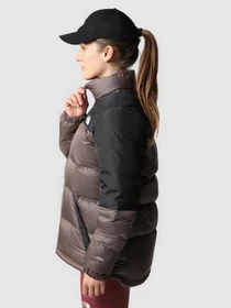 Куртки и дубленки The North Face DIABLO модель NF0A7ZFT7T41 Фото