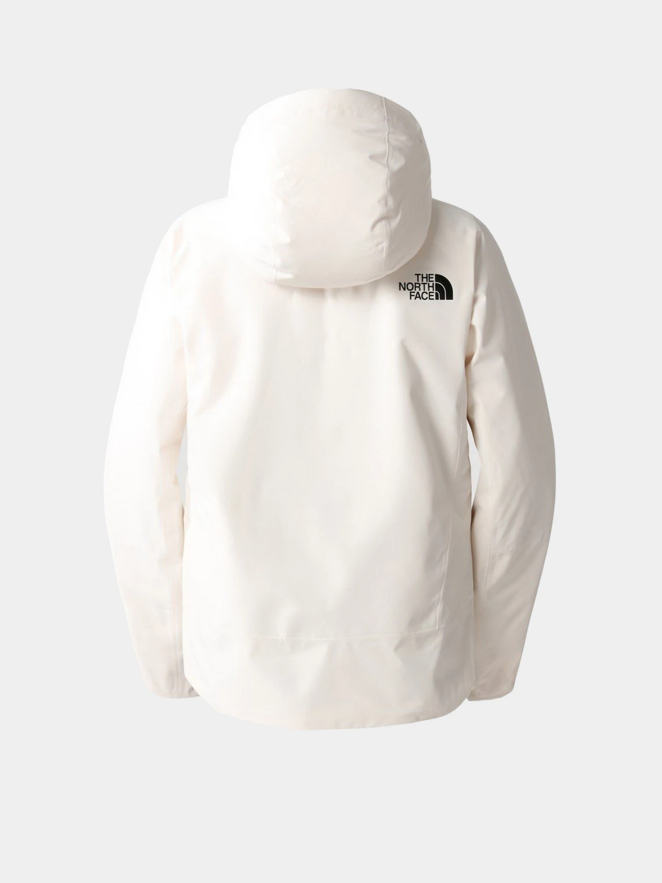Куртки и дубленки The North Face Descendit модель NF0A4R1RN3N1 Куртки и дубленки The North Face Descendit модель NF0A4R1RN3N1 Фото